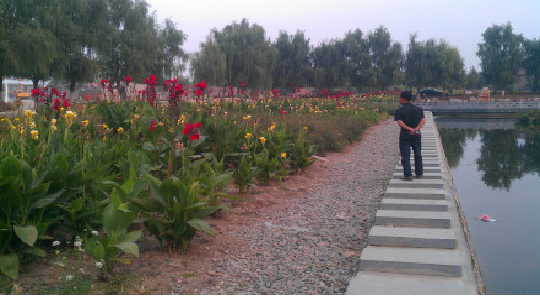 1610002610969026772.png image.png